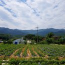 공안경로당 이미지