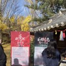 강남백년가약국 | 용인 한국민속촌, 알차게 즐기는 7가지 꿀팁 후기 (with 연분 공연)