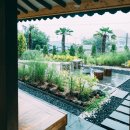 고요스테이 이미지