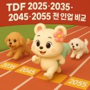pet30거2045 | TDF 2025·2035·2045·2055 전 라인업 비교! 나이대별 최적 선택·수익률·비중 구조 총정리