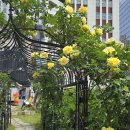 서울역사박물관 이미지