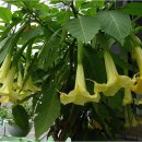 동남공원 이미지