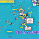 진도항 Daum카페