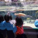 아림월드 이미지