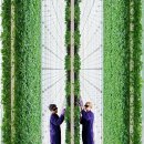 기지농장 이미지