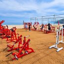 짐 핏 부산 이미지