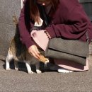 고양이집사 이미지