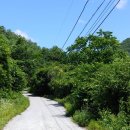 도원패밀리캠핑장 이미지