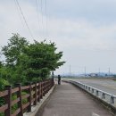 DMZ 평화의길 15-1코스 철원구간 *백마고지역~고석정* (25.06.07) 이미지