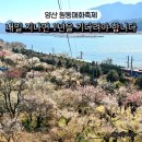 원동역 | 경남 양산 가볼만한곳 원동매화축제 후기 원동역 명소