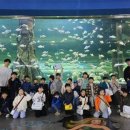 청룡태권도장 이미지