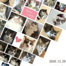 우리스크린 이미지