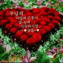 샬롬 이미지