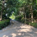 서곶공원배드민턴장 이미지