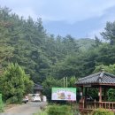 멍멍이와 숲속에서 이미지