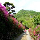 5월12일(일) 완주공기마을,화산꽃동산,맛기행(화산 붕어찜) 이미지