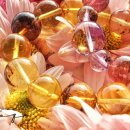 금선에너지 이미지