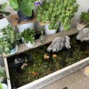 콩사랑두부 | [인천 영종도] ‘콩사랑’ 🫛내돈내산 두부요리 솔직후기