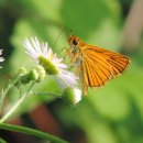 모둘자리 이미지