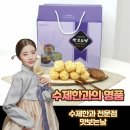맛보는날