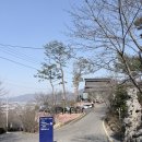 파인힐 | 동두천 대형카페 파인힐커피하우스 후기 | 소요산 뷰 좋은 서울 근교 드라이브 카페