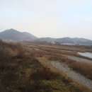 하동군 다목적 캠핑장 이미지