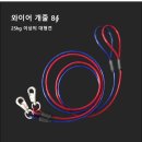 제이펫 이미지