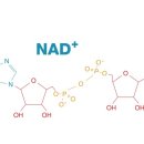 좋은가정의학과의원 이미지