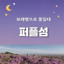 제천푸른솔산악회 / 전남신안 천사섬(퍼플섬) 기행 계획 이미지