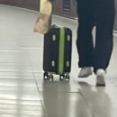인 아카사카/아카사카 술집/카피바라 카페/아카사카 힐즈/츠지한 아카사카점/카페 알리야/라멘 마치카도...