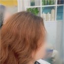 아담한살롱