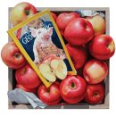 MY OASIS전-치명적 아름다움[2011. 3. 1 - 3. 13 대백프라자갤러리] 이미지