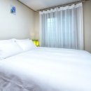 그린 팜파스 이미지