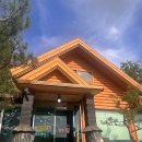 삼계탕전문점하림 | 🌞초복 보양식으로 다녀온 송탄 장안동 [삼계탕전문점 하림] 후기