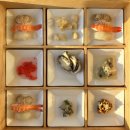 클린독 펜션 | 국내 료칸 숙소 남해 호텔 치유 플래티넘 풀빌라 내돈내산 솔직 후기