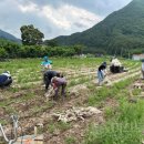 달산면사무소 이미지