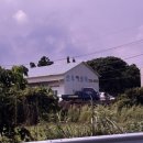 선우카센타 이미지