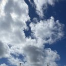 #24_7월 넷째주 : 오키나와 여행기 4편(A&W 나하공항점, 블루씰 나하공항점, 오키나와 기념품)