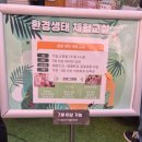 곤충동물 생태 체험교실 이미지