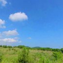 서성일로 이미지