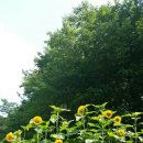 어진농장 이미지