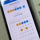 로또 3등 당첨 후기! 새집증후군 유르떼 베이크아웃볼로 냄새 싹! 화장실까지 상쾌!