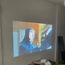 분보남보 이미지