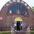 한나네집