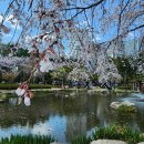 북부산우체국 | [부산맛집] 화명동 숯불닭갈비, 천연 야자숯으로 제대로 굽는 곳 (2025년 4월 6일 방문 후기)