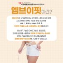 엠브이핏(MVFIT) 이미지