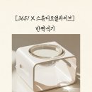 고양이 물그릇 내돈내산｜3651 반짝식기 솔직 후기