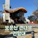 전망대 | 대전 보문산 큰나무 전망대 후기 주차, 난이도, 가는 길
