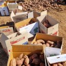 1004농장 이미지