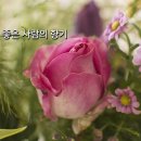 행복한하루